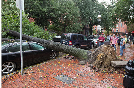 One of the many \emph{trees} knocked down by Hurricane Irene in Boston, this one in the South End neighborhood (left) and a density plot of which parts of the city had more and fewer tree emergencies following the hurricane, as reported to 311 (right). (Credit: Boston.com; Author)